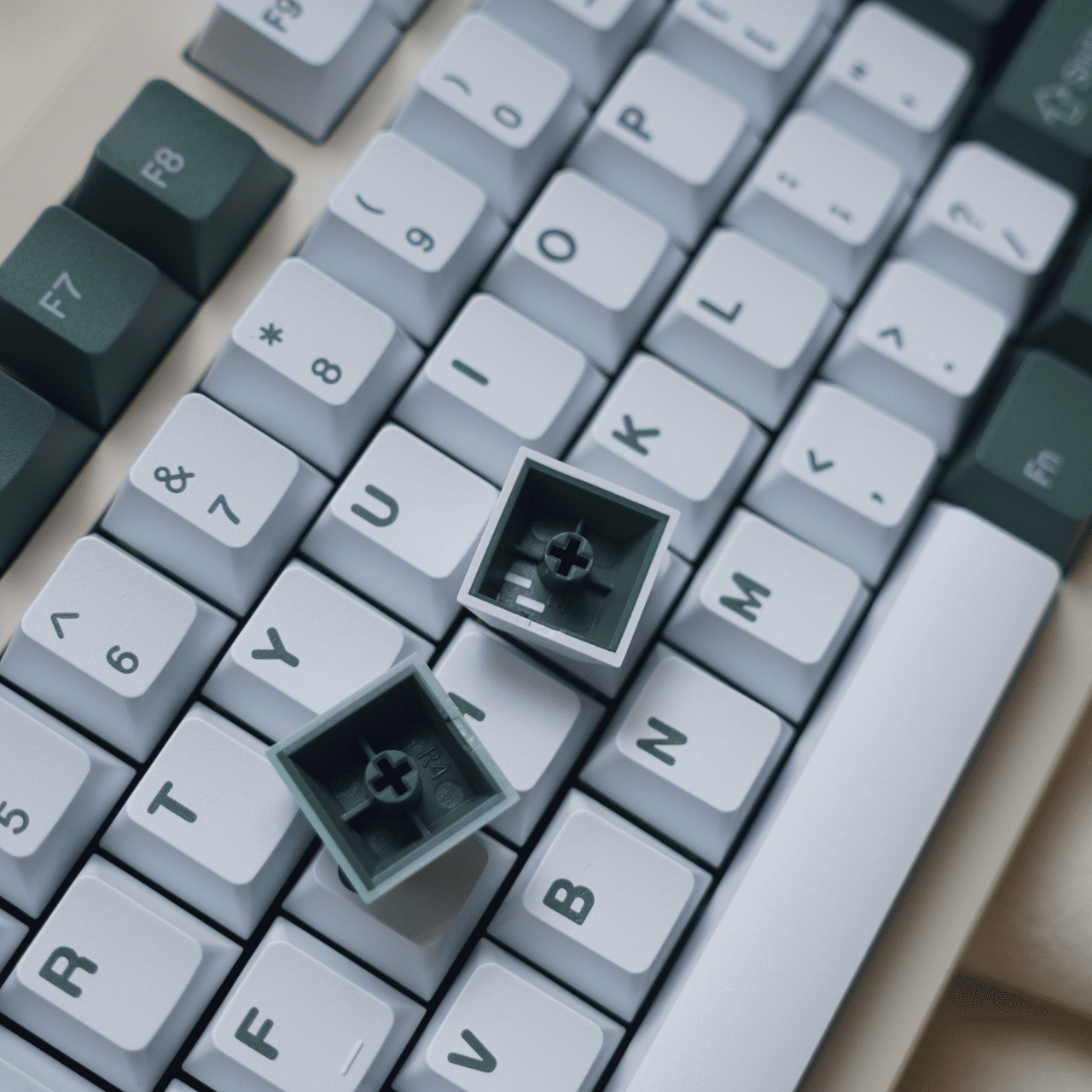 Bộ keycap Botanical PBT doubleshot | KICAP