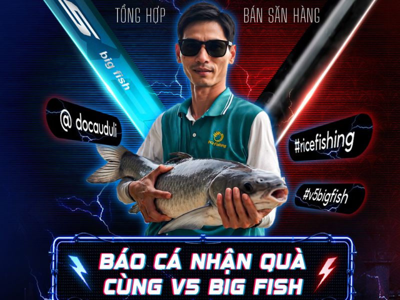 Báo Cá Nhận Quà - Nhận Cần Miễn Phí