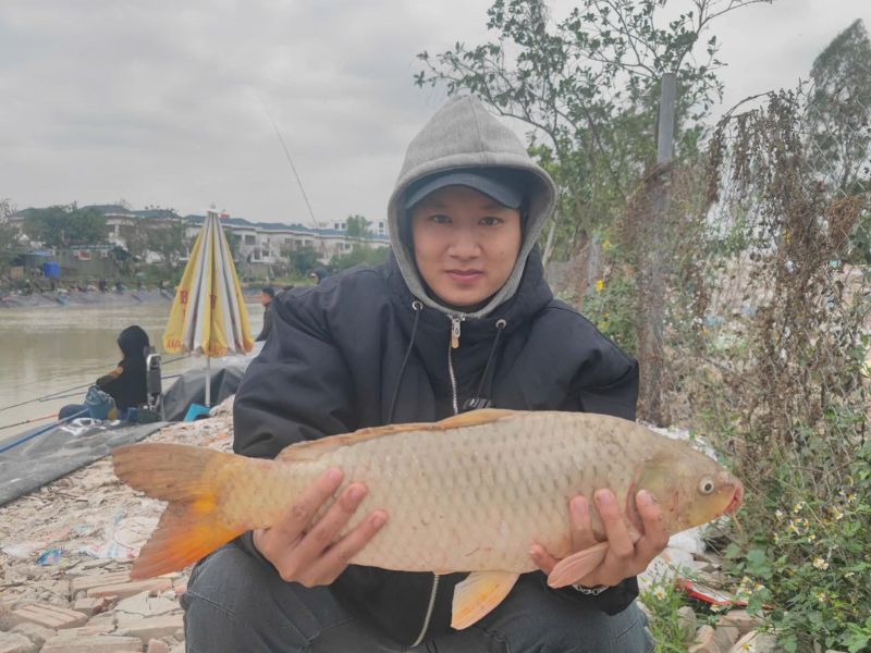 Cá Chép Có Dễ Câu Hay Không?