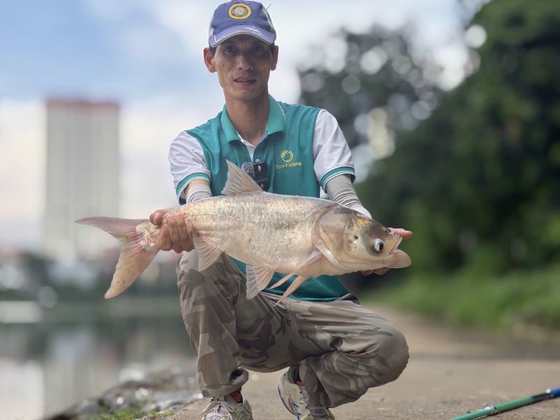 Cá Mè Có Dễ Câu Không? Tìm Hiểu Về Cách Câu Cá Mè!
