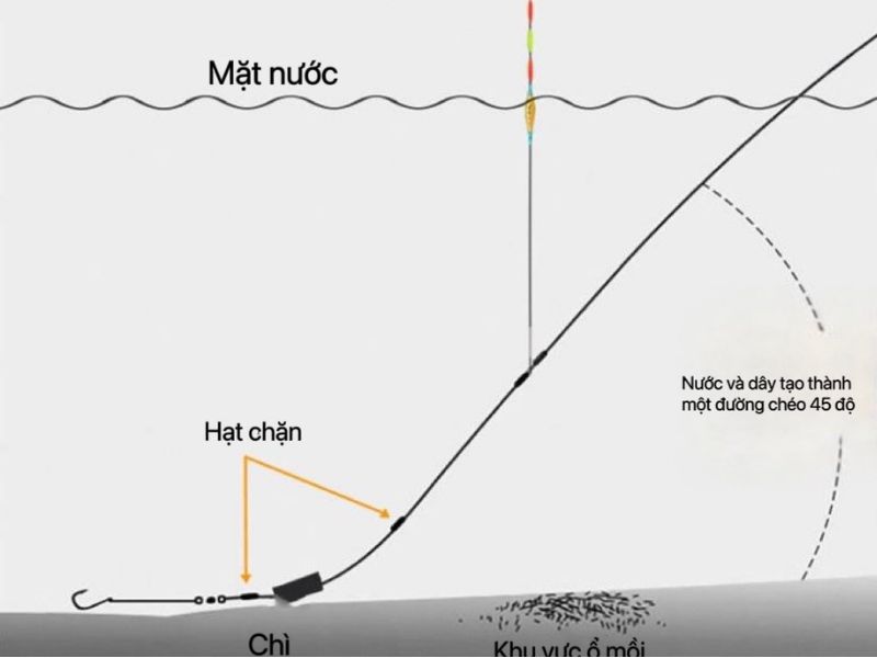 Cách Cân Phao Hố Đấu Hiệu Quả Cho Người Mới!