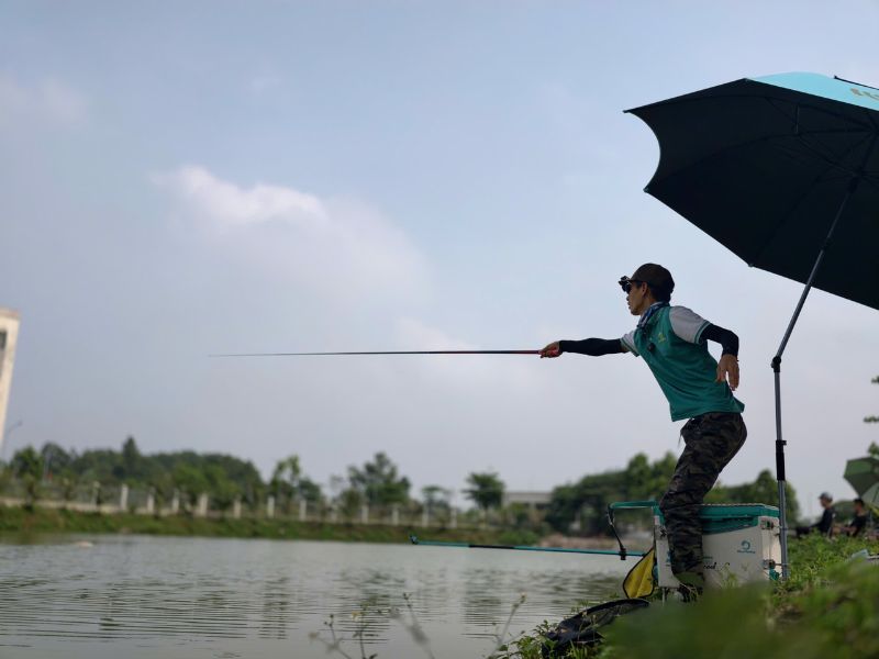 Hướng Dẫn Người Mới Cách Câu Cá Cụ Thể!