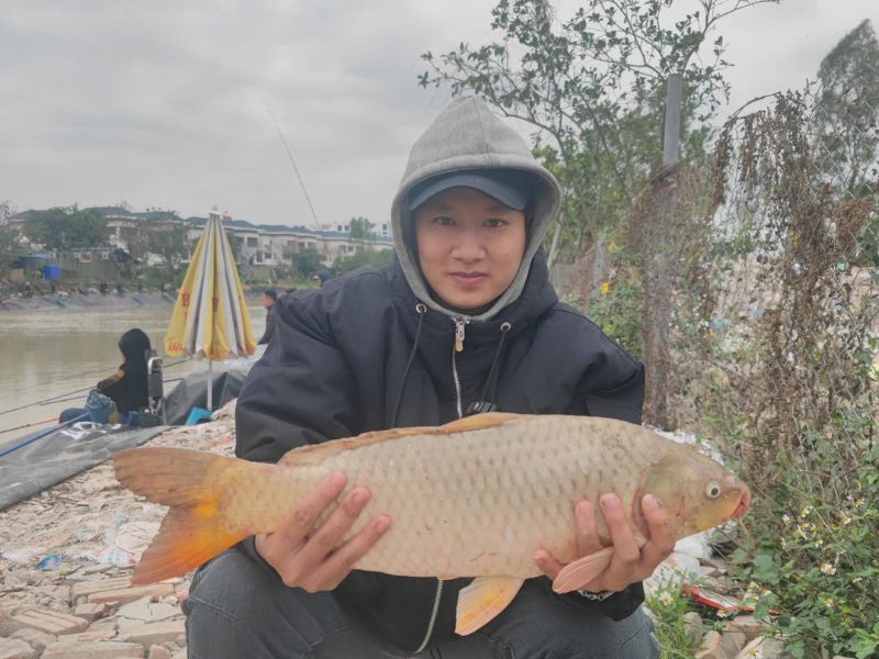 Cần Câu Cá Chép - Cách Chọn Chuẩn Cho Người Mới Tập Câu