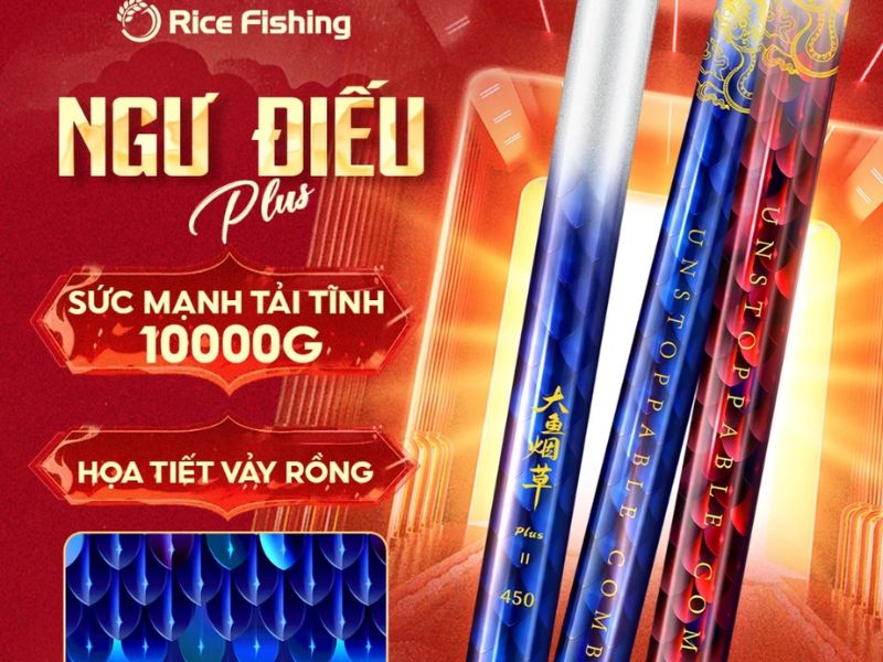 Cần Câu Đài Chính Hãng Chất Lượng Cao