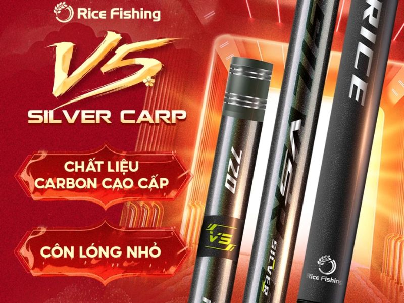 Cần Câu Đài Giá Tầm Trung Chất Lượng - Lựa Chọn Tối Ưu