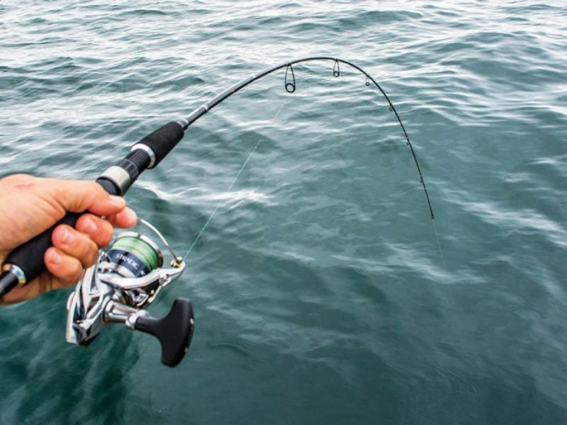 Sự Thật Về Cần Câu Máy Mà Người Mới Chưa Từng Biết