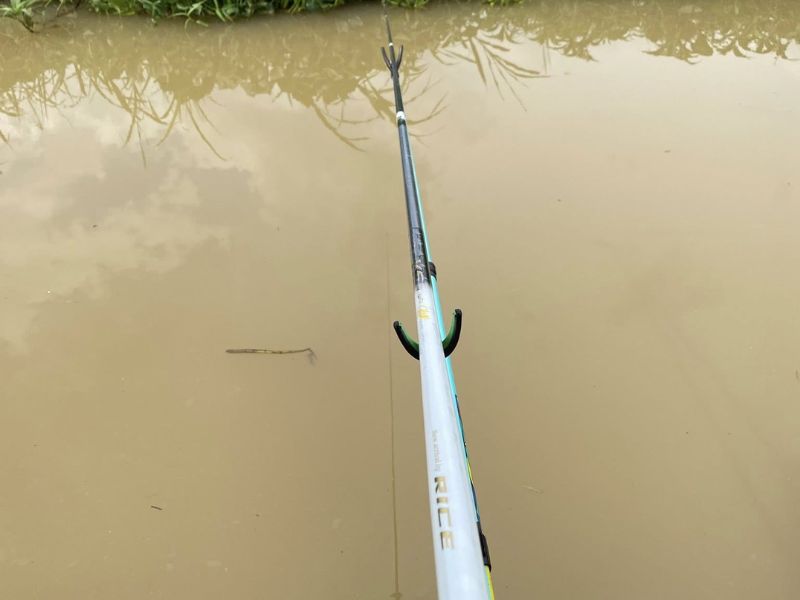 Cần Câu Rice Fishing V5 – Lựa Chọn Đáng Tin Cậy Cho Cần Thủ 2026