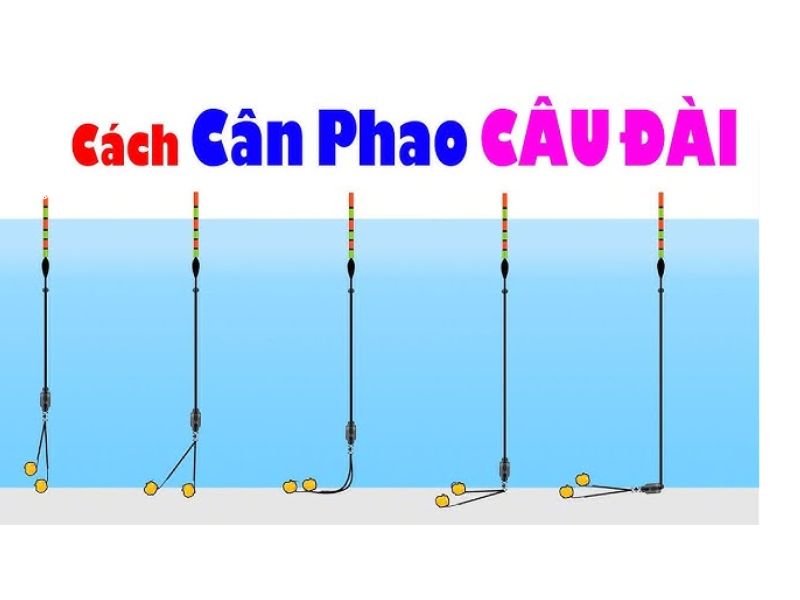 Hướng Dẫn Cân Phao Câu Đài Đúng Cách