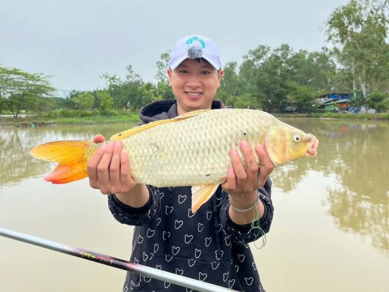 Đừng đi câu cá chép mùa đông nếu chưa biết những điều này!