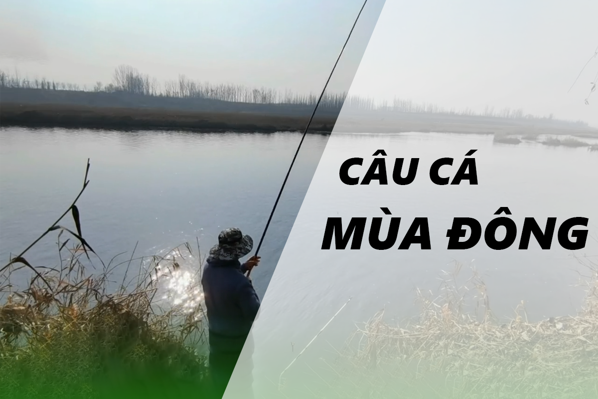 Câu cá mùa đông cần kinh nghiệm gì?