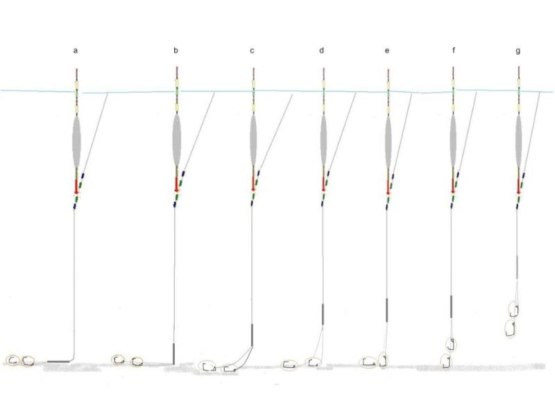 Độ Dài Thẻo Câu Đài Bao Nhiêu Là Phù Hợp?