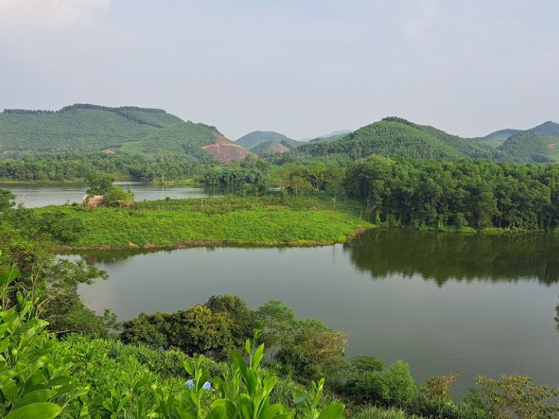 Hồ Câu Bán Tự Nhiên - Địa Điểm Chứa Đựng Nhiều Cá Lớn