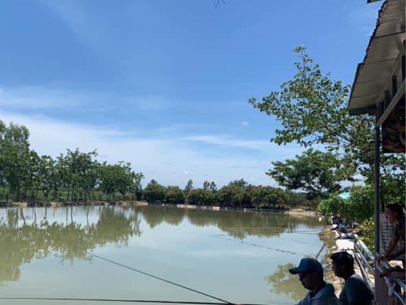 Hồ Câu Minh Vũ - Điểm Đến Không Thể Bỏ Qua!