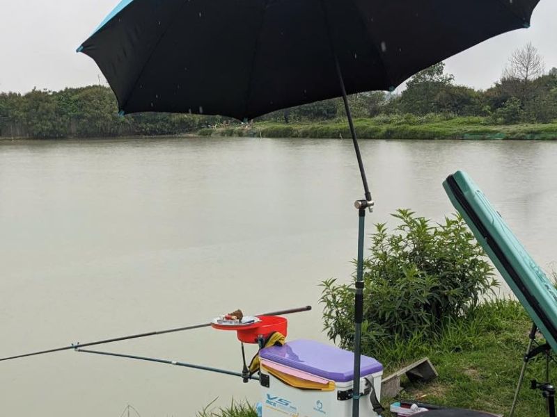 Hồ Câu Và Những Điều Chưa Chắc Bạn Đã Biết!