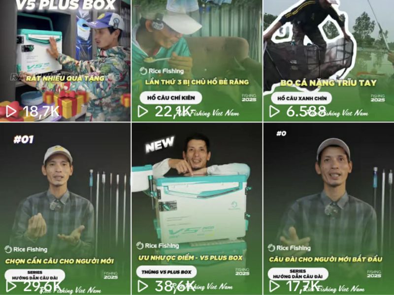 Hướng Dẫn Người Mới Tập Câu Cá Hiệu Quả