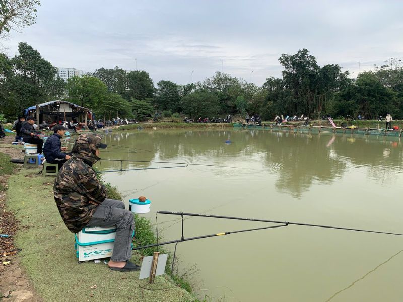 Mùa Đông Câu Cá Gì Cho Hiệu Quả!