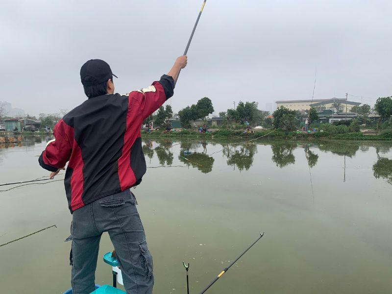 Vào Mùa Xuân Câu Cá Gì Hiệu Quả Nhất?