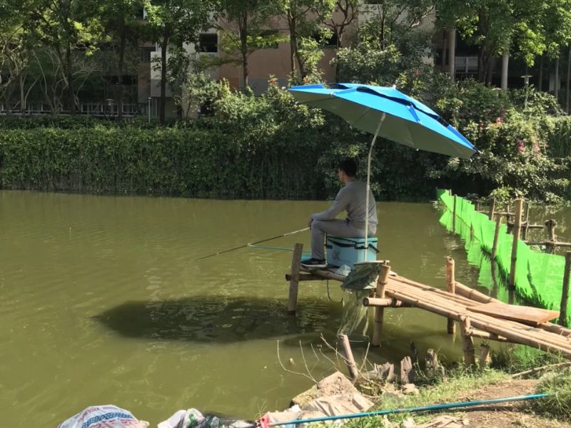 Trời Mưa Có Nên Câu Cá Hay Không? Giải Đáp Từ Kinh Nghiệm Thực Tế