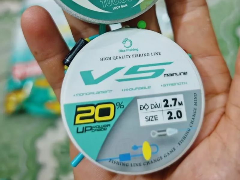 Trục Câu Cá Là Gì? Vì Sao Trục Câu Cá Quan Trọng?