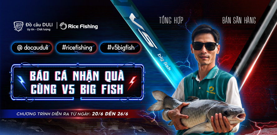 Báo cá nhận quà
