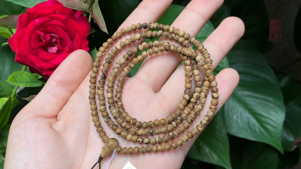 MỘT SỐ MẪU TRẦM BÔNG ĐẸP VÀ GIÁ TRỊ