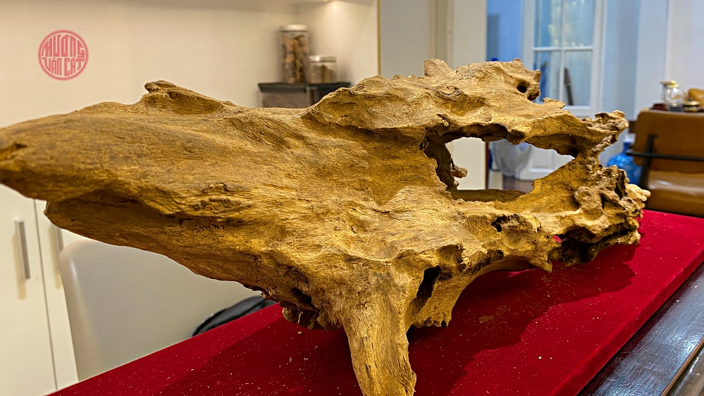 VẺ ĐẸP CỦA TRẦM CẢNH TỰ NHIÊN