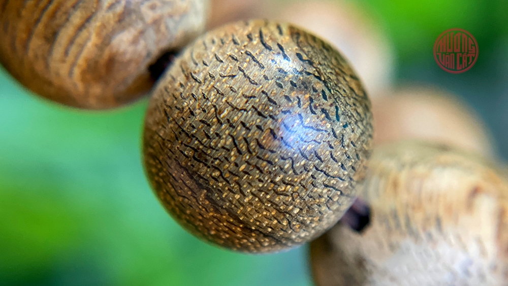 THẾ NÀO LÀ VÒNG TRẦM TERENG CÓ GIÁ TRỊ ?