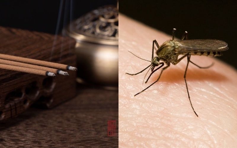 Bật mí cách sử dụng trầm hương đuổi muỗi không phải ai cũng biết