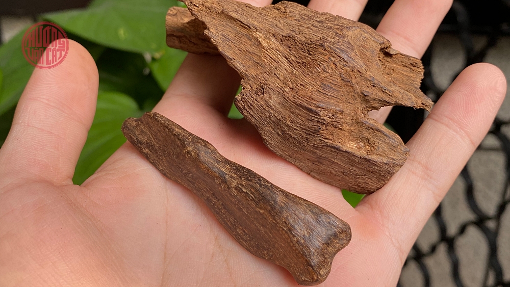 TRẦM RỤC LÀ GÌ ? TÍNH CHẤT VÀ GIÁ TRỊ