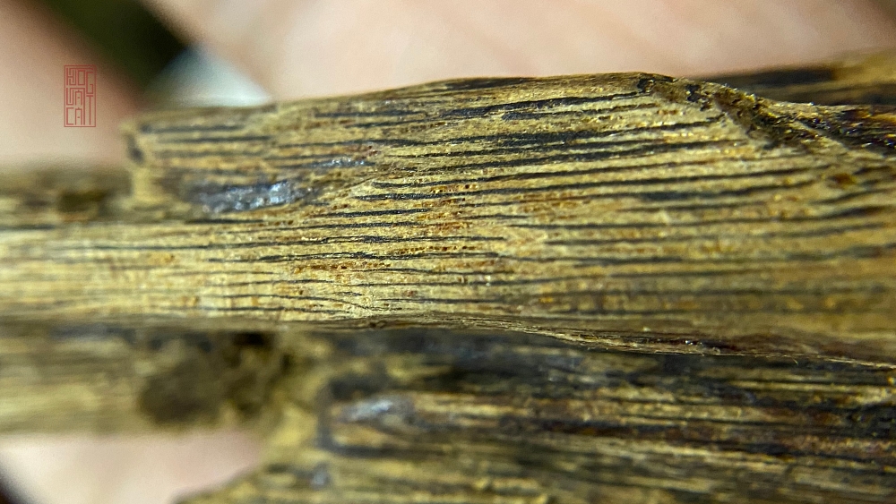 NHẤT KỲ NHÌ BÔNG - HIỂU SAO CHO ĐÚNG ?