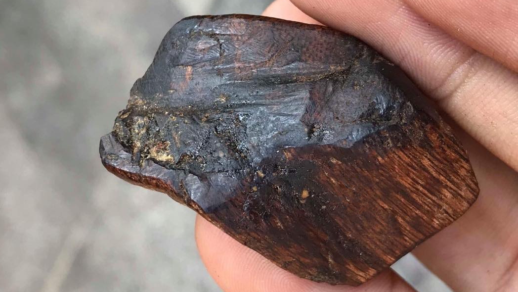 TRẦM KIẾN XANH , KỲ ĐUỔI KIẾN LÀ GÌ ?