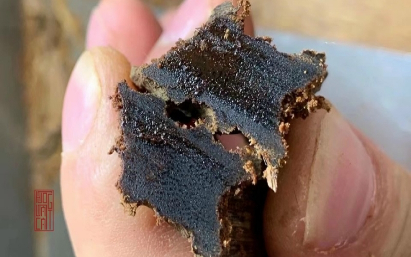 Top các loại trầm hương phổ biến và những điều chưa biết