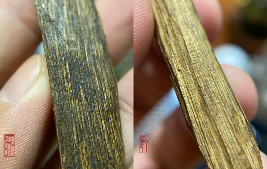 Bản giao hưởng hương vị Trầm Hương: Cay, Chua, Ngọt, Đắng, Mặn