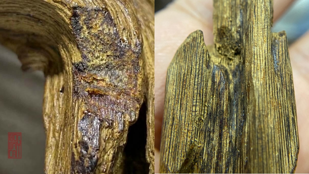 KỲ NAM LÀ GÌ ? TÍNH CHẤT VÀ GIÁ TRỊ