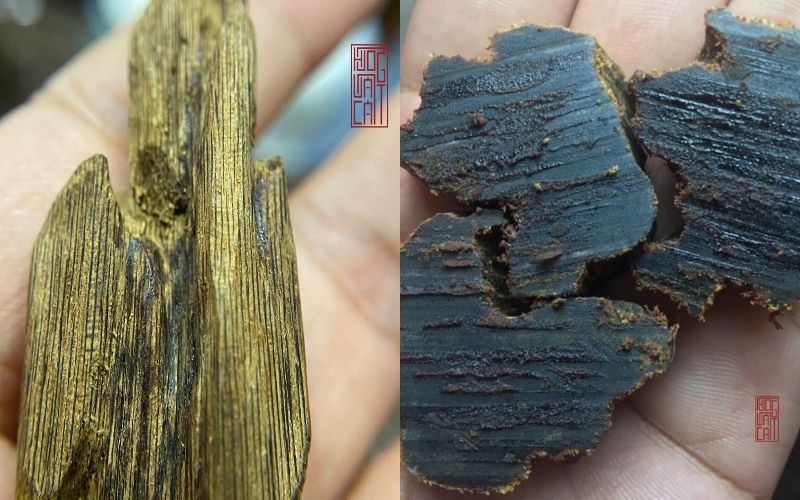 Gỗ kỳ nam là gì? Khái niệm, phân loại và công dụng