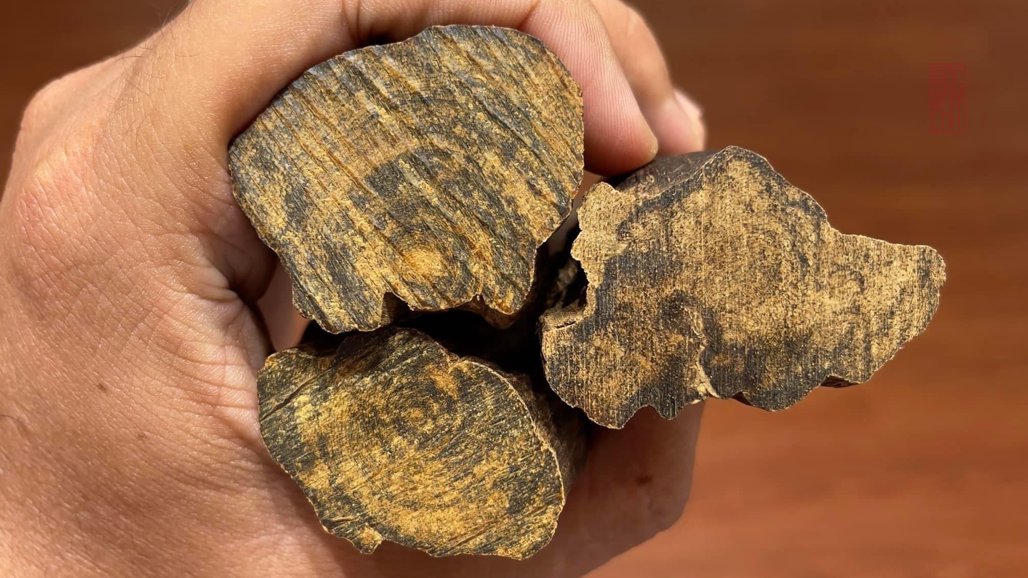 CẢNH BÁO: GIẢI MÃ THỦ THUẬT GIA CÔNG TRẦM MỚI THÀNH TRẦM CŨ