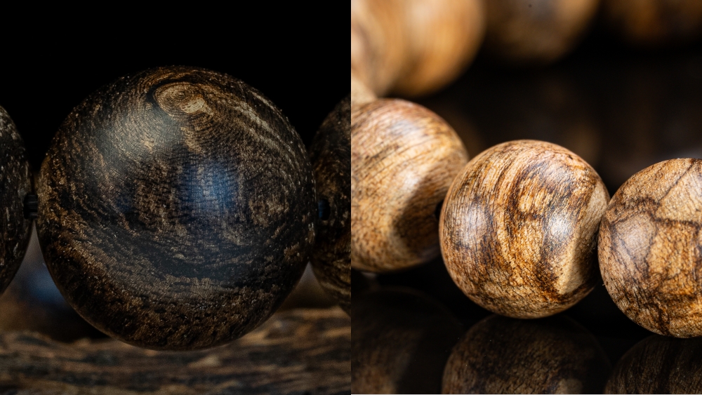 Khám Phá Linh Hồn Trầm Hương Từ Dãy Trường Sơn Đến Biển Đông