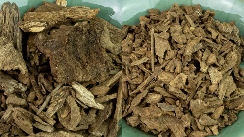 Từ vàng đen tinh dầu trầm đến nước hoa Niche Luxury Oud