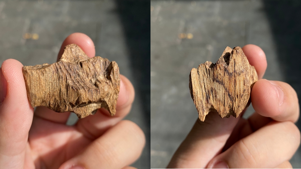 TÍNH CHẤT VÀ ĐỘ HIẾM CỦA THANH KỲ NAM