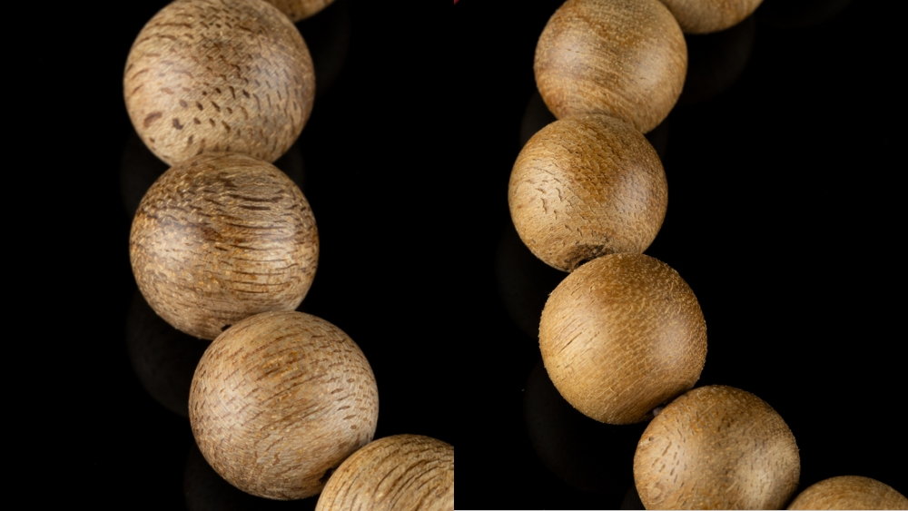 LÝ DO TRẦM TỐC KIẾN LÀ LỰA CHỌN HOÀN HẢO CHO NGƯỜI MỚI