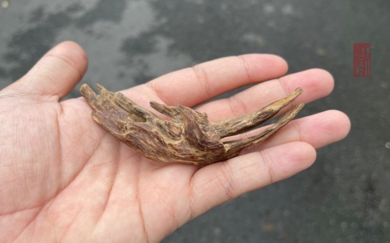 Tìm hiểu trầm hương chìm nước và những điều cần lưu ý