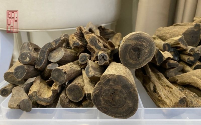 GỖ TRẦM HƯƠNG CÓ NĂNG LƯỢNG GÌ ? HỢP MỆNH NÀO ?