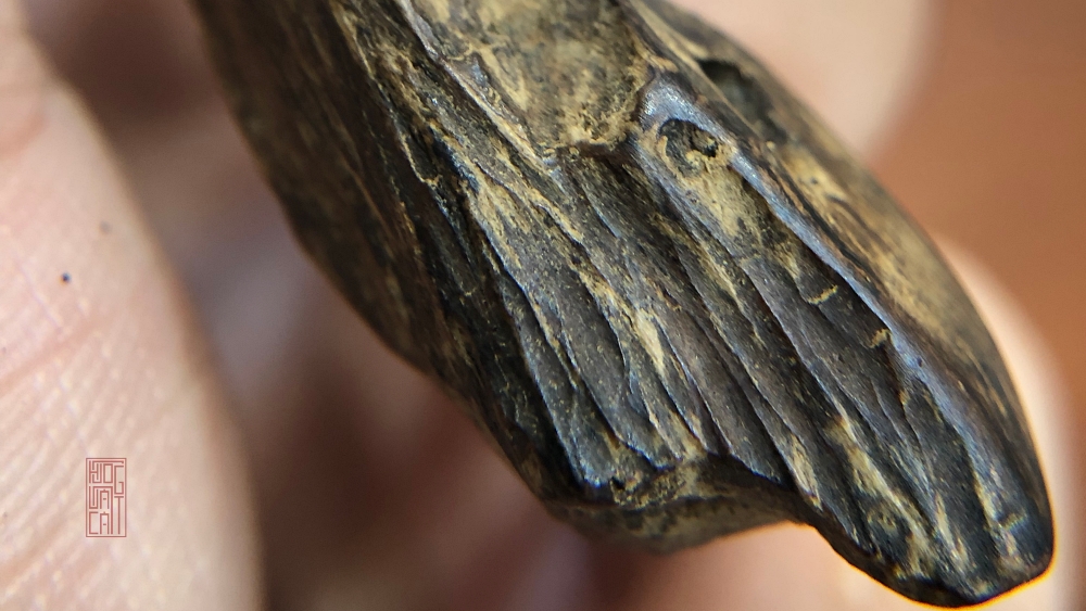 TRẦM HƯƠNG CHÌM NƯỚC LÀ GÌ ? VÌ SAO TRẦM CÓ THỂ CHÌM NƯỚC ?