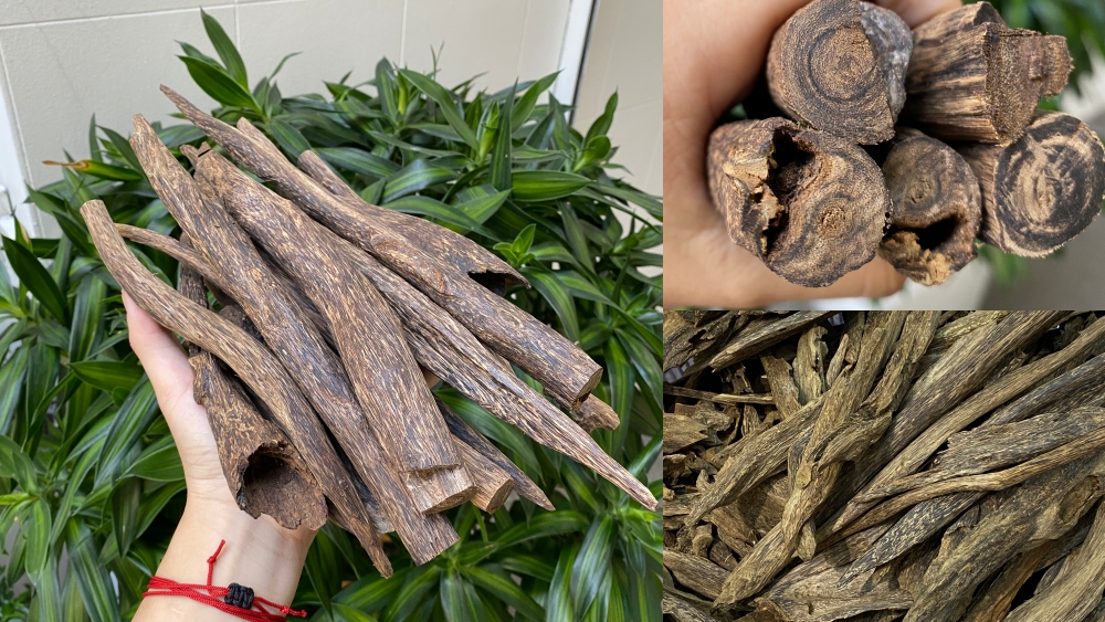 nguyên liệu trầm rừng chìm nước