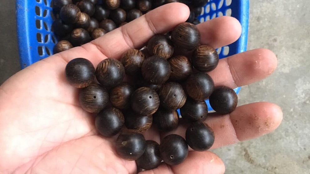 hạt trầm sánh ghép