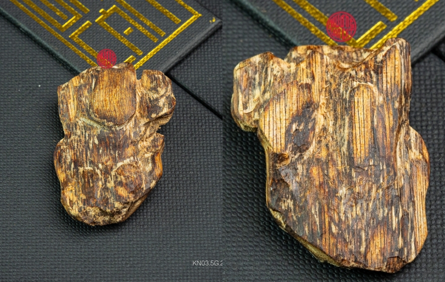 kỳ nam chìm nước