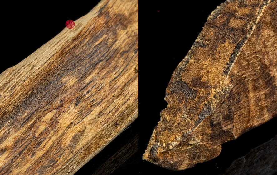 kỳ nam chìm nước