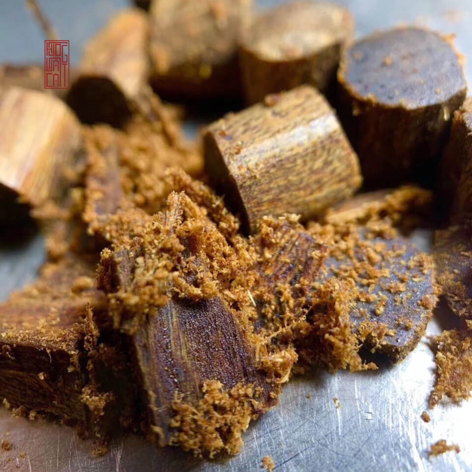 kỳ nam chìm nước