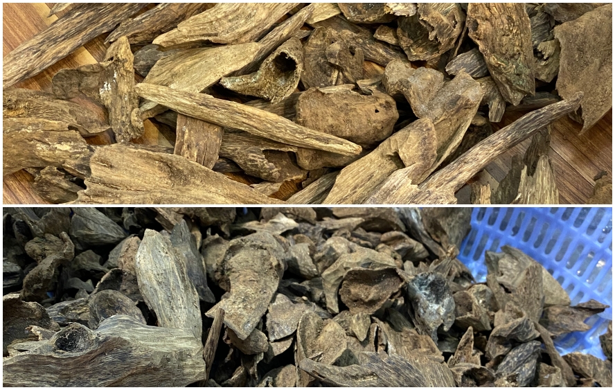 vụn trầm hương rừng