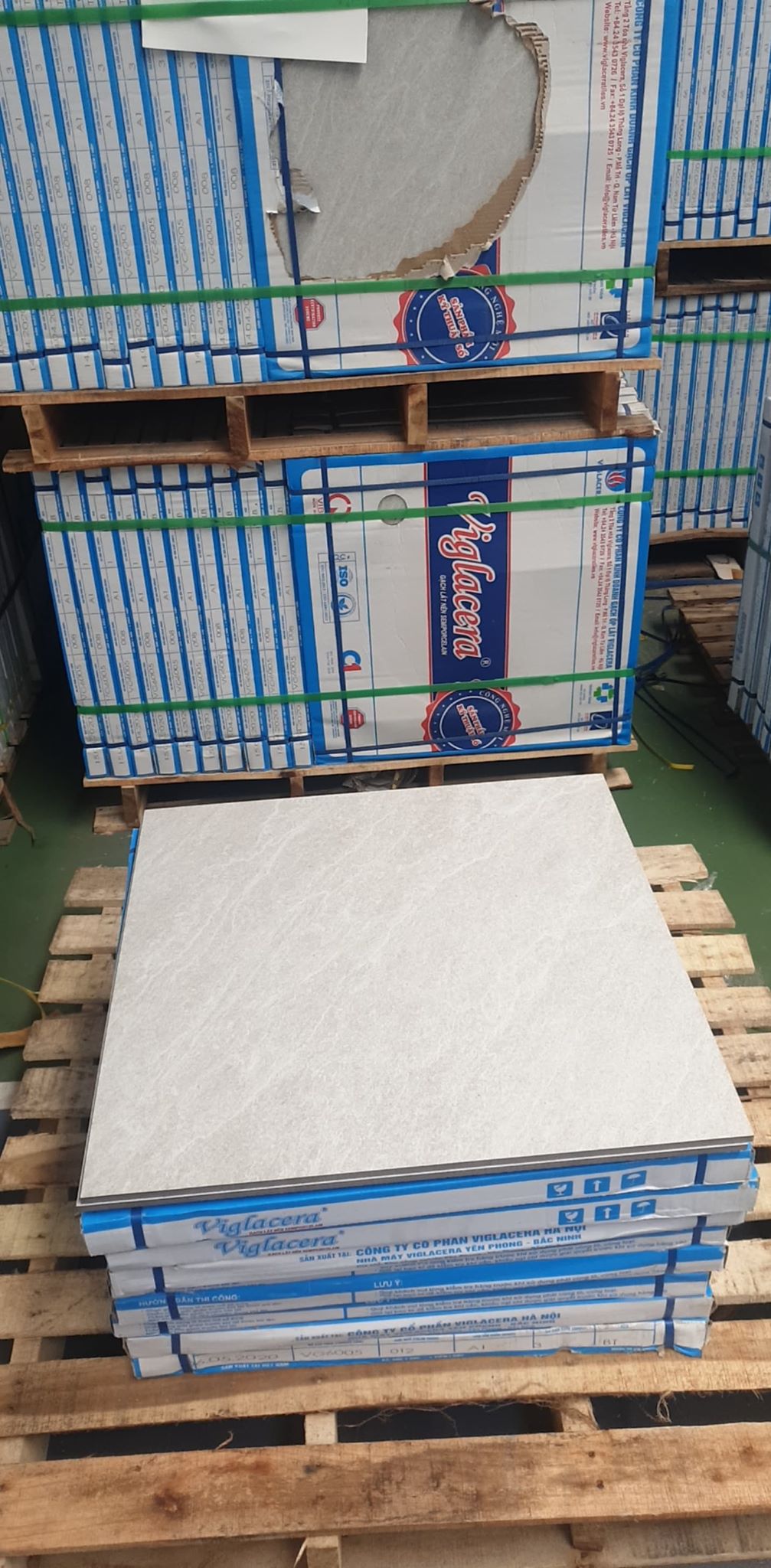 Gạch bán sứ 60x60cm Viglacera VG 6005